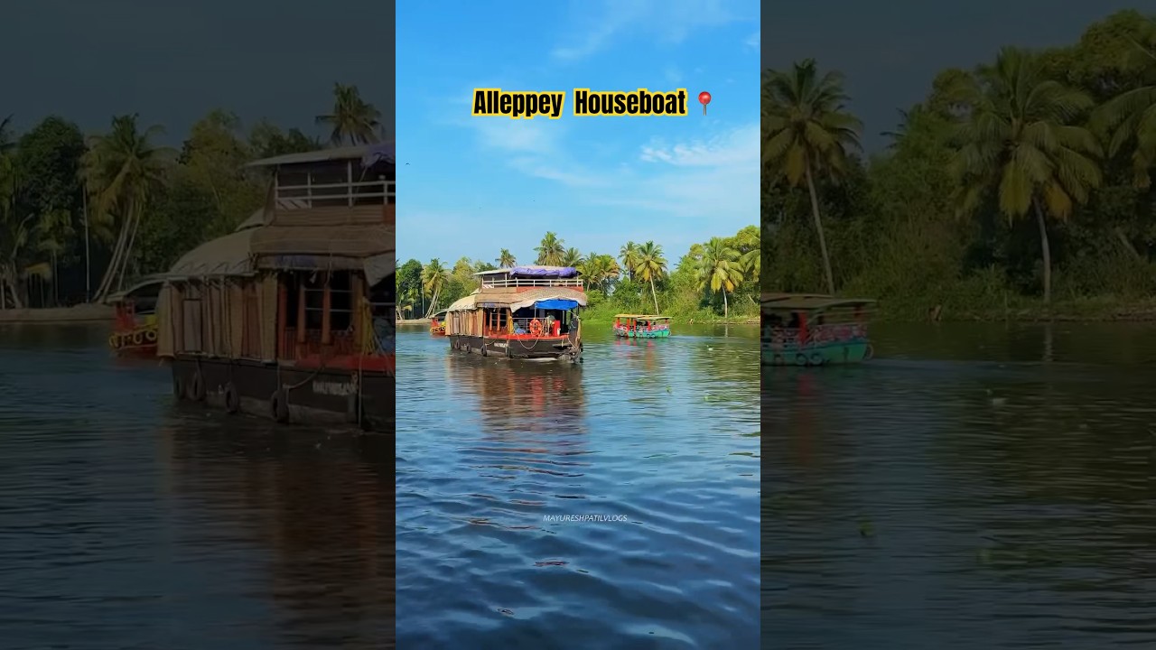 Alleppey Houseboat | Kerala Backwaters 2024 #travel #alappuzha #houseboat
