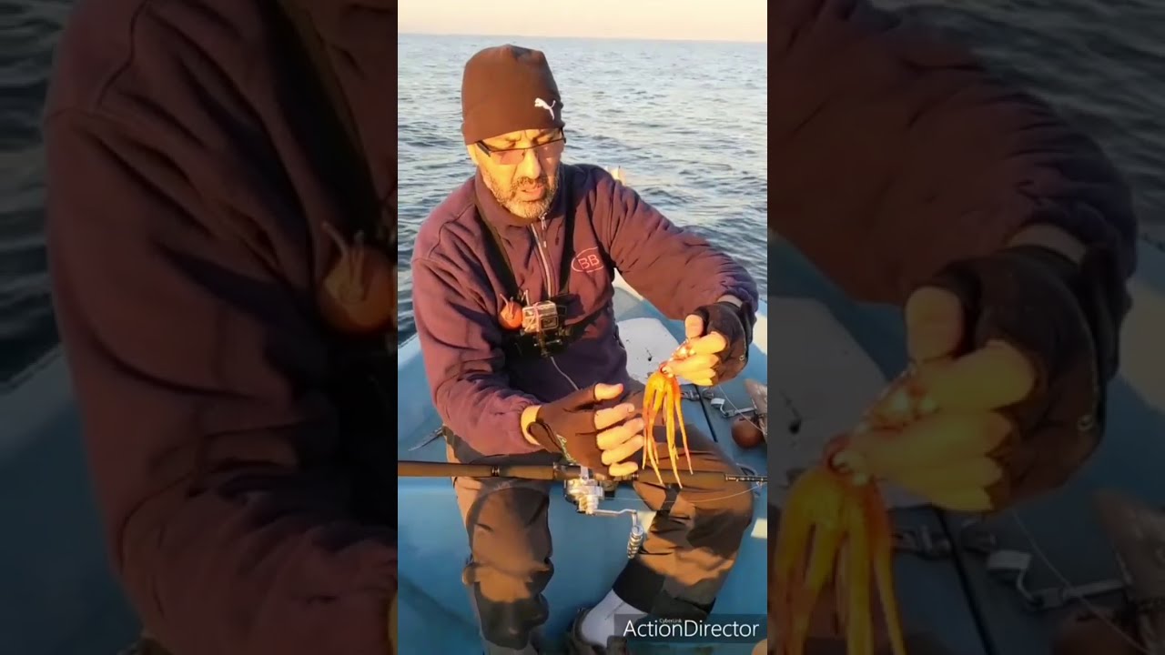 الصيد بالقرنيط أوالبولب الإصطناعي للأخ مراد الله يبارك