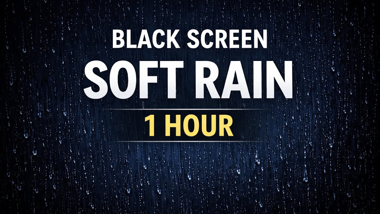  Soft Rain for Deep Sleep (black screen)| No Thunder | 1 Hour