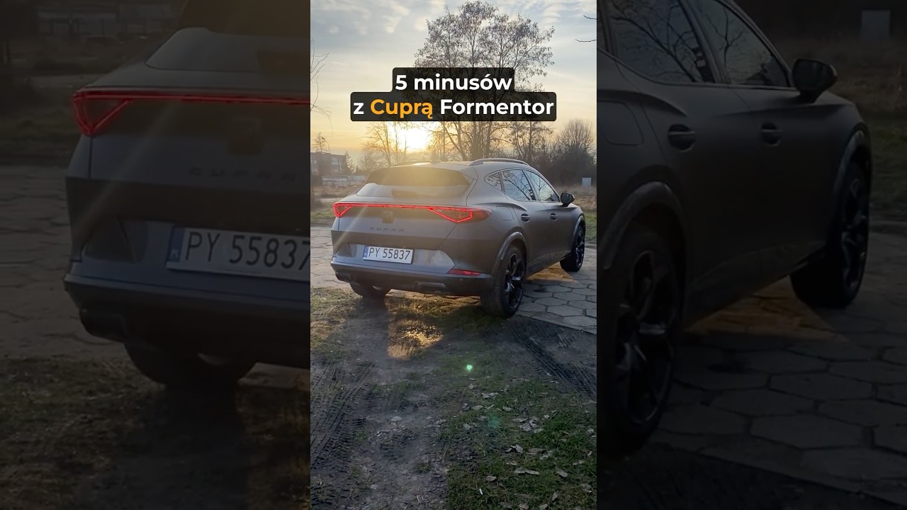 5 MINUSÓW - Cupra Formentor 2.0 TSI 190 KM | 
