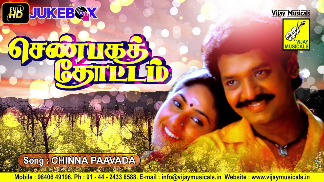 CHINNA CHINNA PAAVAADA || SENBAGA THOTTAM || MANO, CHITRA, SELVA, ROHINI || VIJAY MUSICALS
