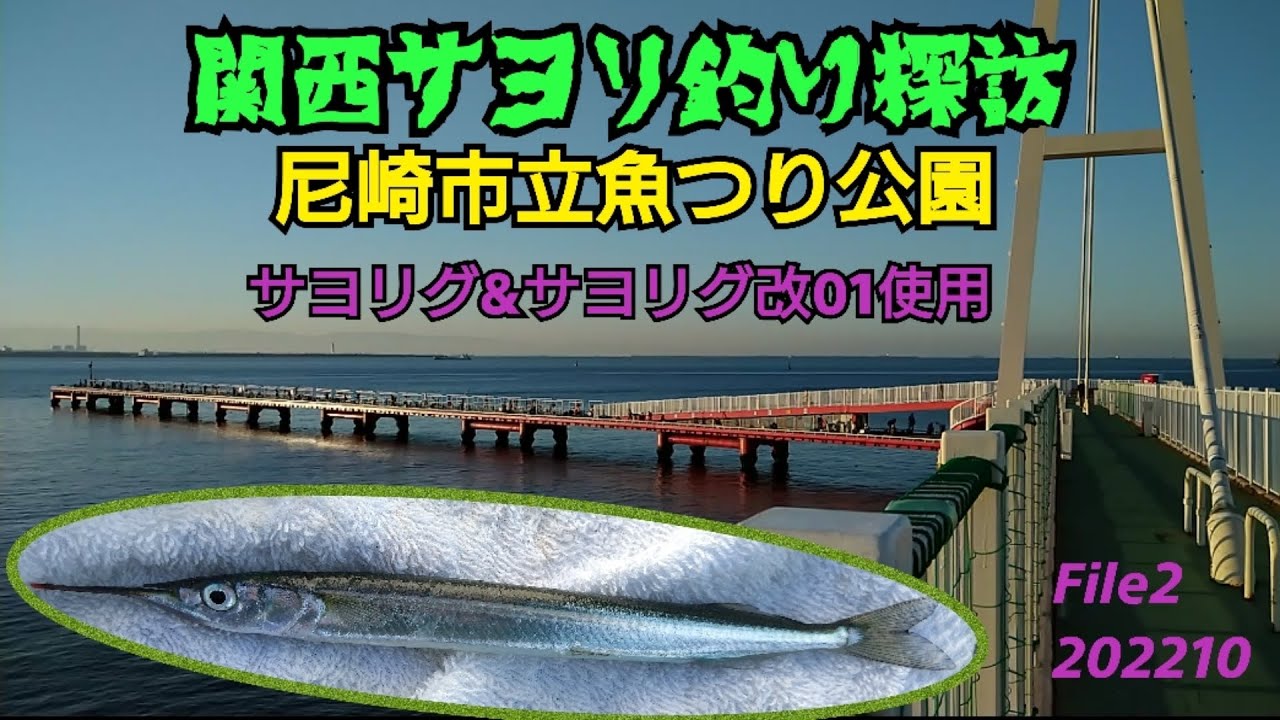 関西サヨリ釣り探訪 尼崎市立魚つり公園 サヨリグ＆サヨリグ改01使用 202210 File２