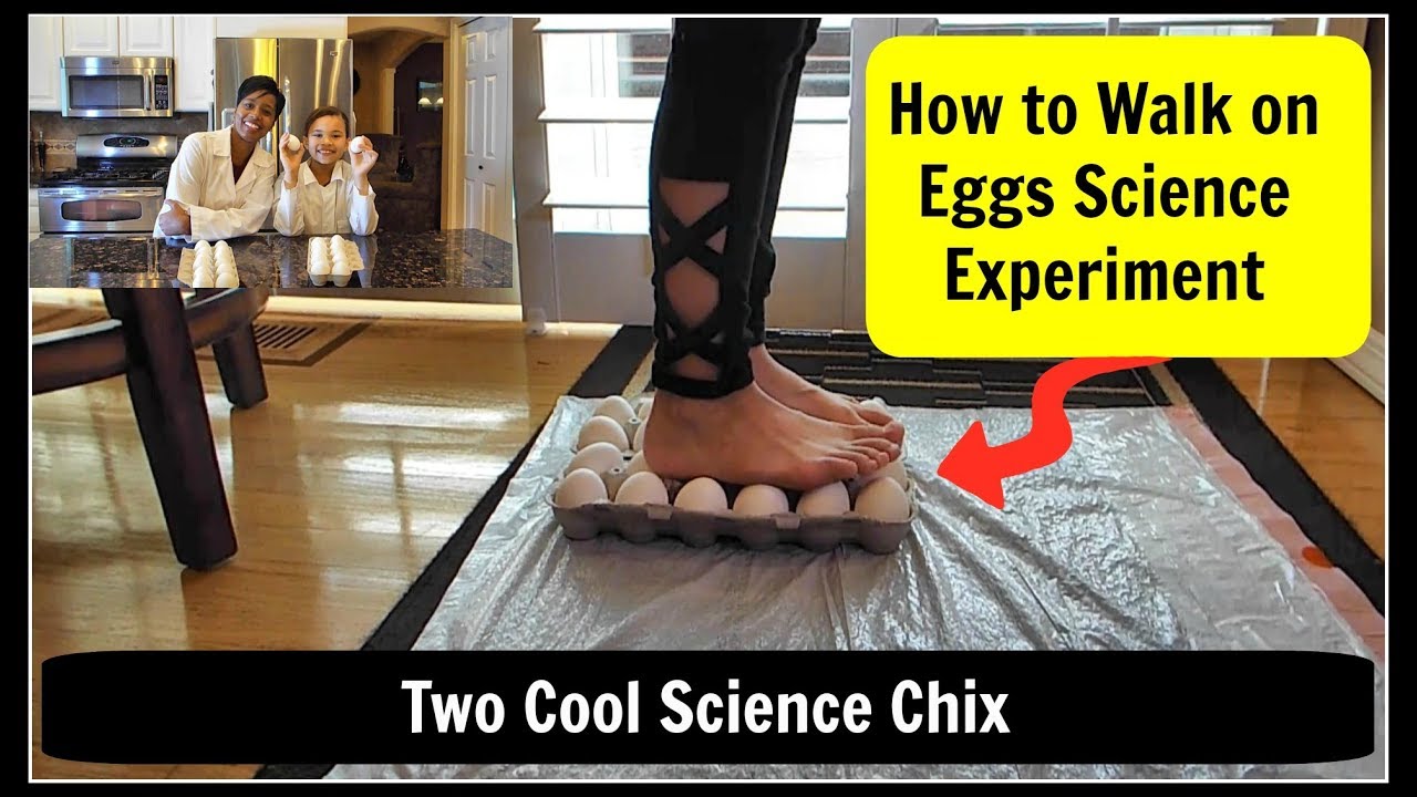 How to Walk on Eggs! Unbelievable Science Experiment