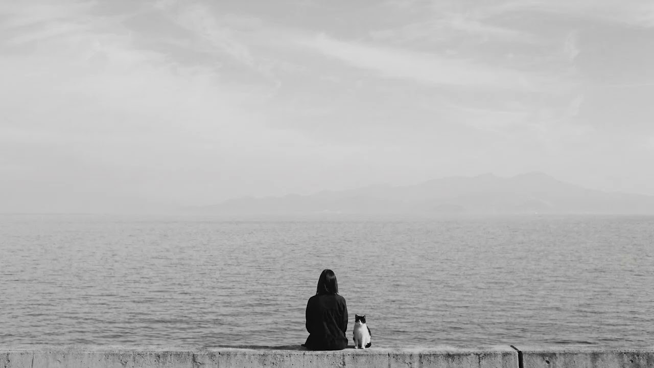 what if I simply disappeared?