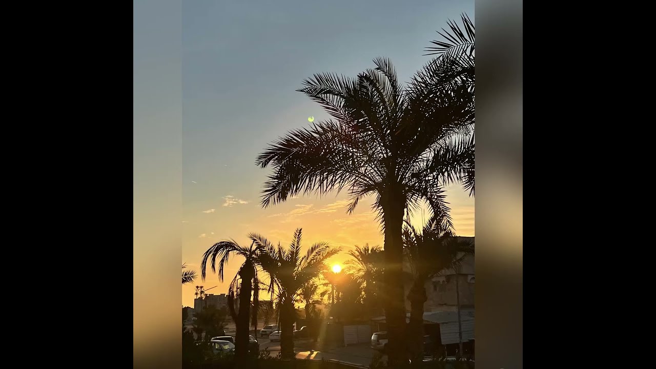 مُقْتَطَفَاتٌ مِنْ كِتَابِ «مَدَارِجِ السَّالِكِينَ» لِابْنِ القَيِّمِ بِصَوْتِ سُوزَانَ جُوَيْلِي