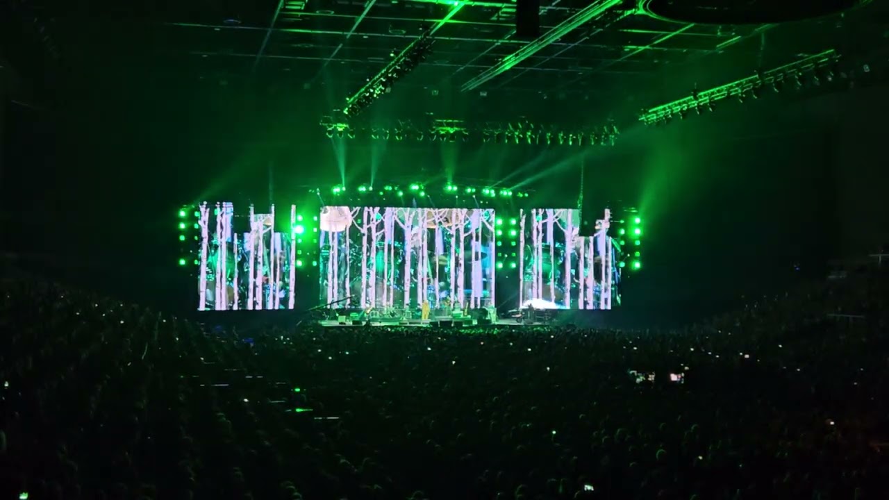 HOBO- Vadászat40- Mesél az erdő, 2024.02.10., Papp László Sportaréna