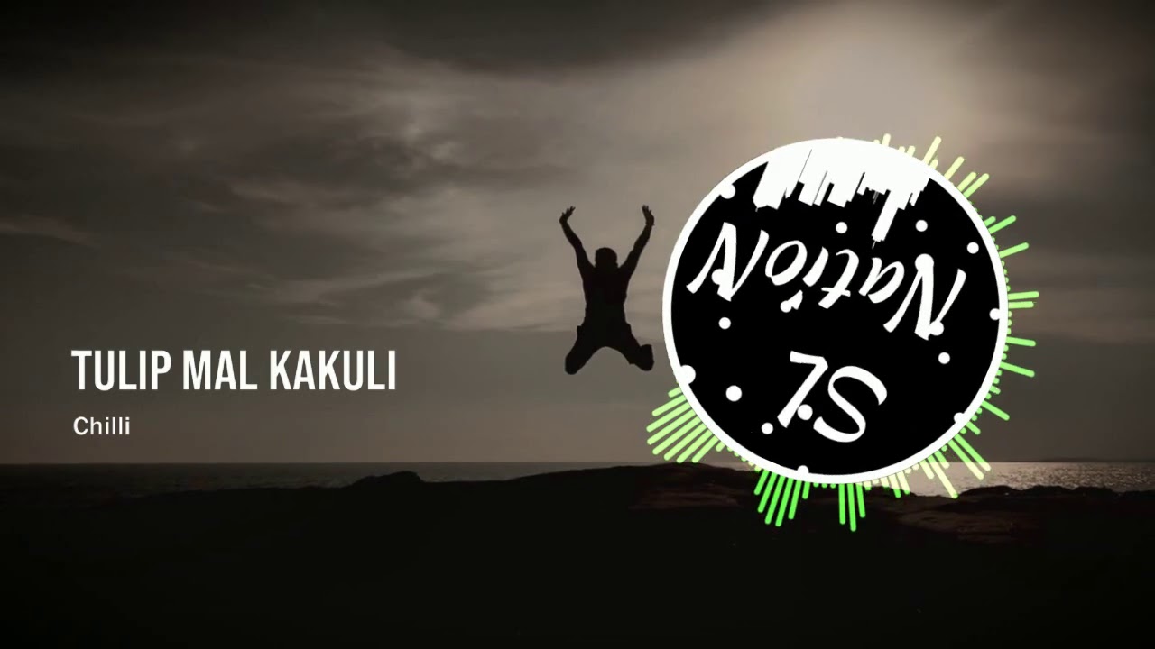 Tulip Mal Kakuli - Chille