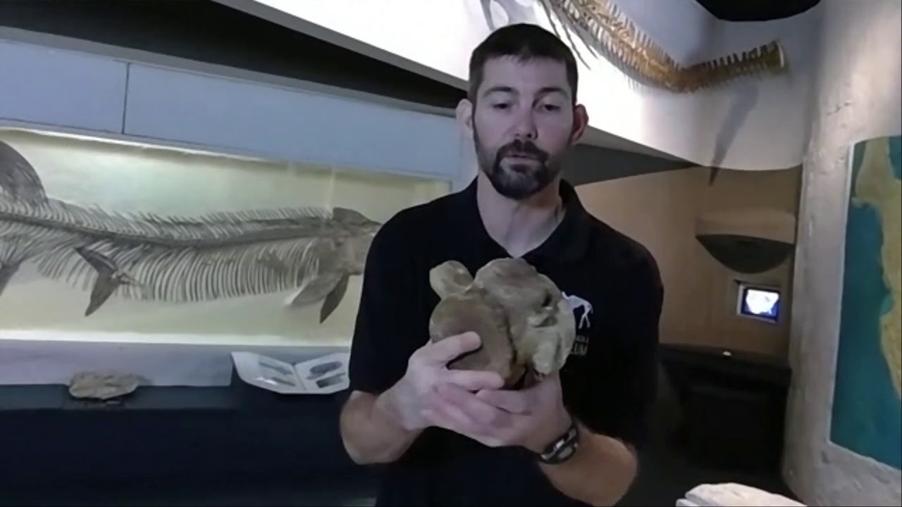 Learn about the Ancient Inland Sea