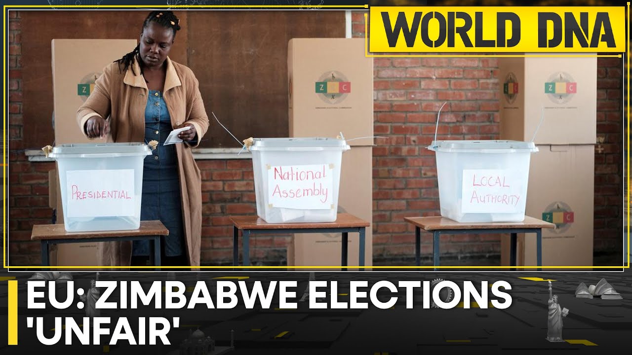 EU: Acts of violence and intimidation amid elections | Zimbabwe Elections | World DNA | WION