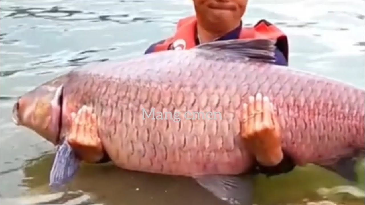 Yang suka mancing kumpul di sini 