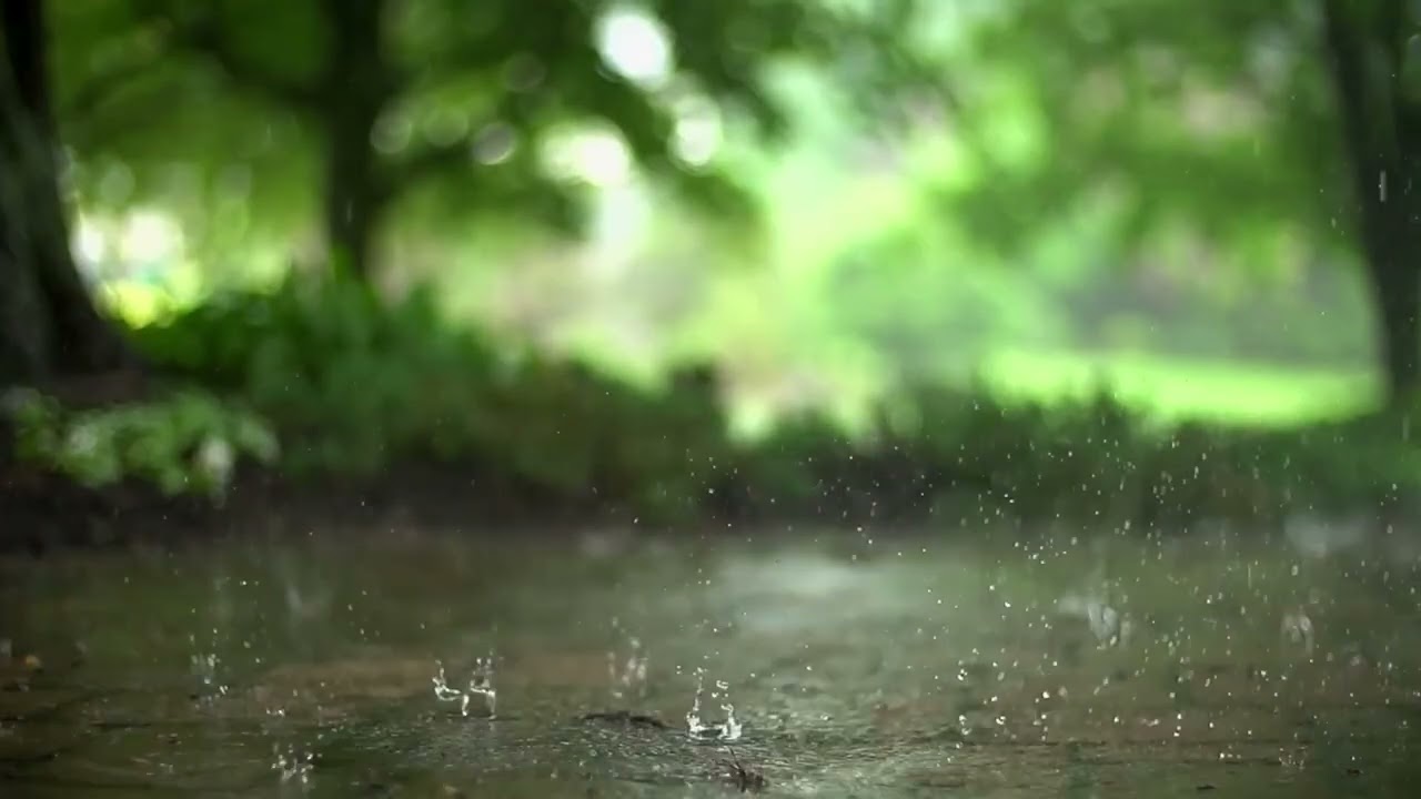 Дощ на природі. Заснути за 5 хвилин. Білий шум. Для міцного сну