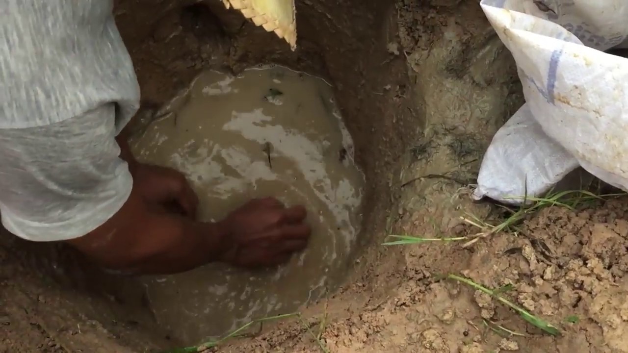 AMAZING Net Fishing Net Fishing using the Pit at Siem Reap Cambodia Traditional Fishing #1