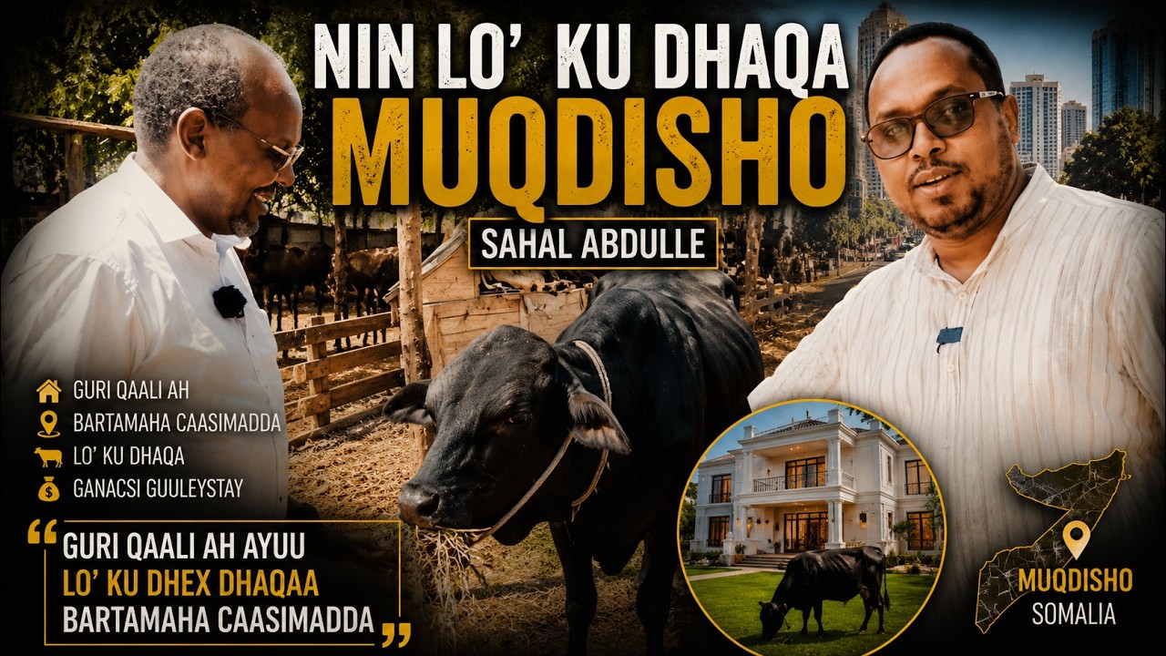 Sahal Abdulle - Lo'jire ku nool bartamaha caasimadda Muqdisho