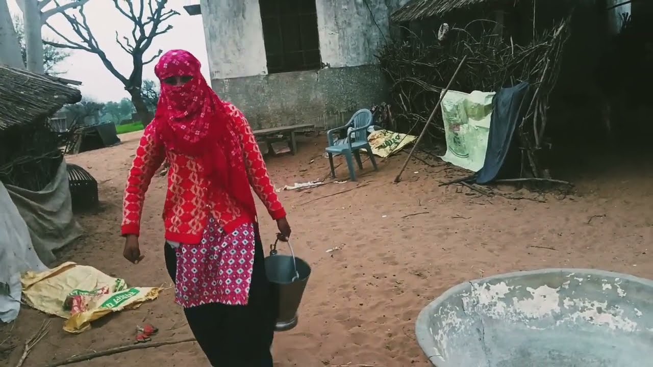 आज शाम का कैसा वीडियो रहा देखो  5 जनवरी 2026।