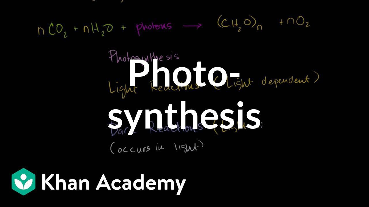Photosynthesis