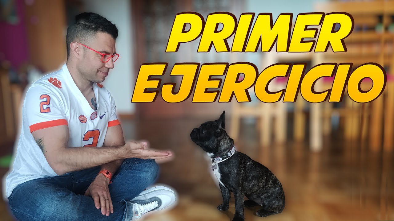Empieza a Educar a tu Cachorro 🐶😜| Ejercicios de Autocontrol
