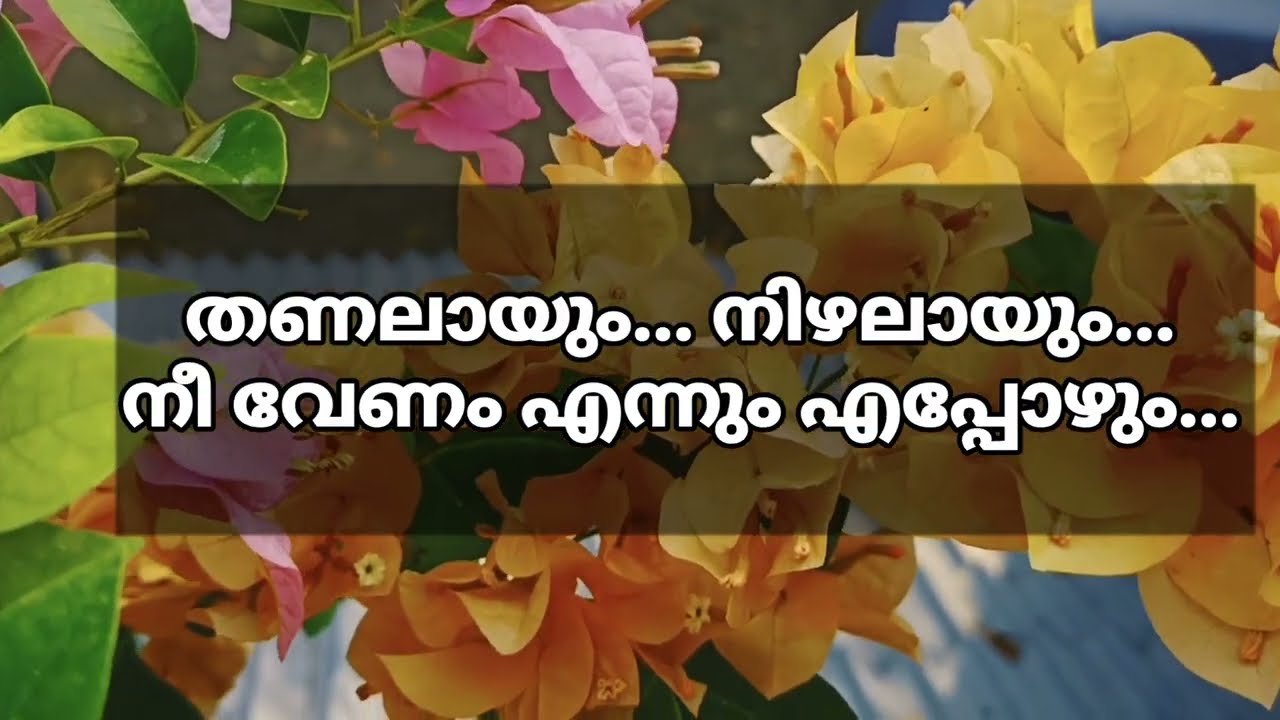 നിനക്ക് പകരമാകാൻ മറ്റാർക്കും സാധിക്കില്ലെന്ന തിരിച്ചറിവിൻ്റെ പേരാണ് പ്രണയം.... 