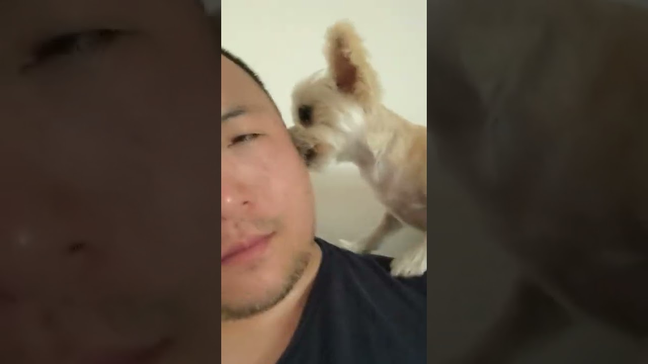 when it's licky time after a hard workout (dog lick ASMR)