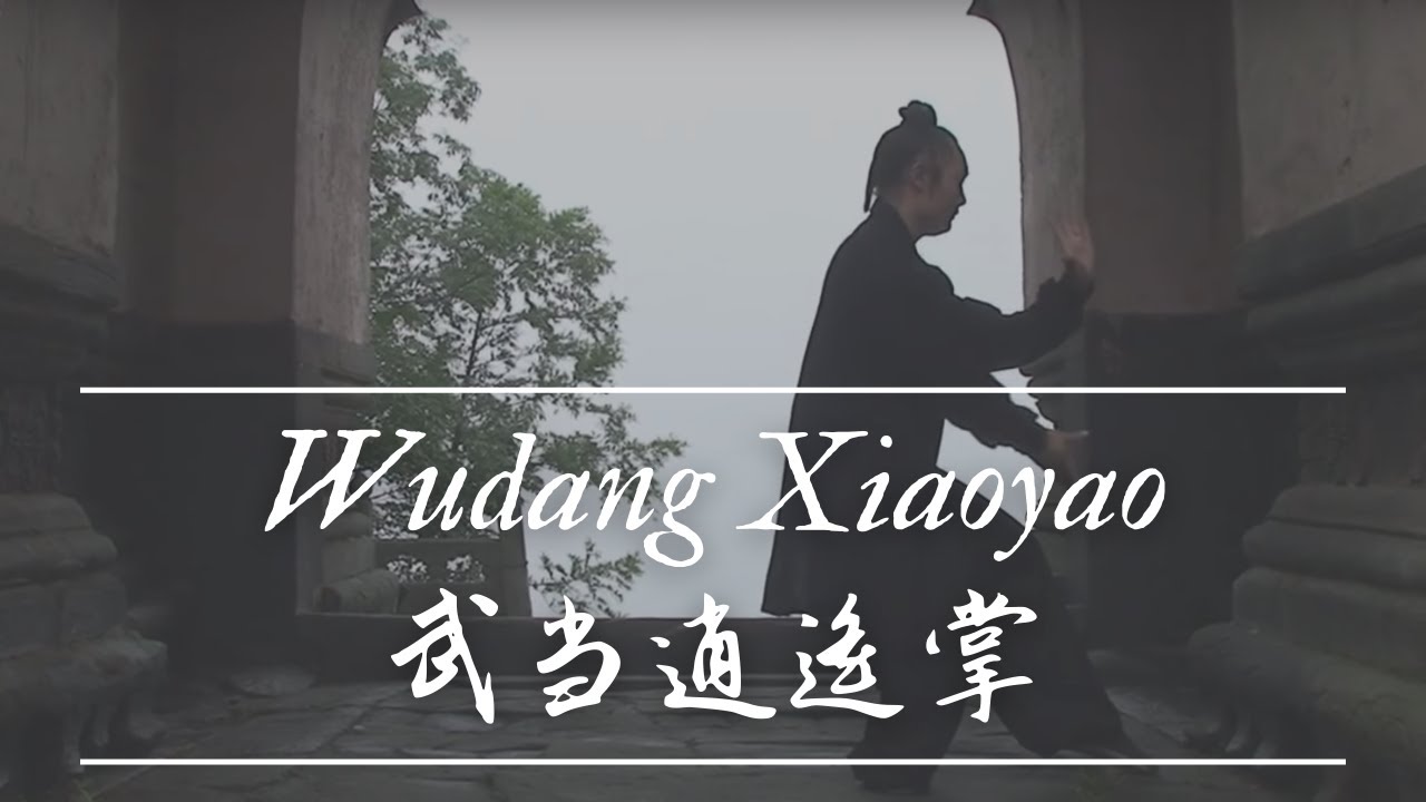 Wudang Tai Yi Xiao Yao Zhang 武当太乙逍遥掌 - Master Ming Yue 明月师父
