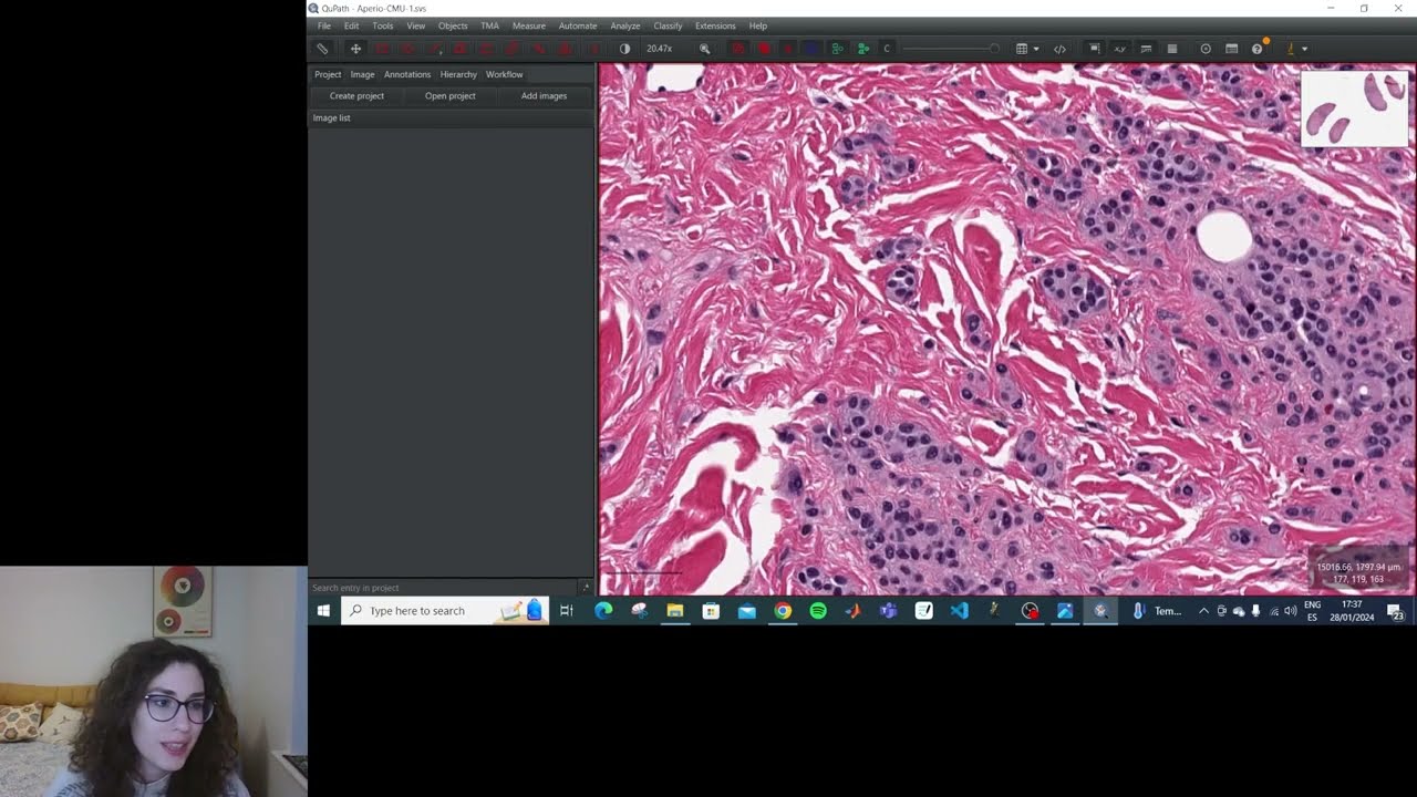 Viewing images with QuPath