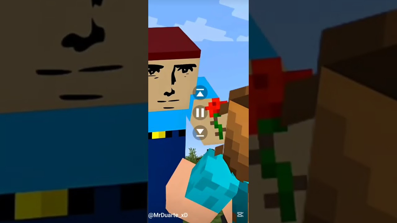 Los shorts más graciosos de Mr duarte