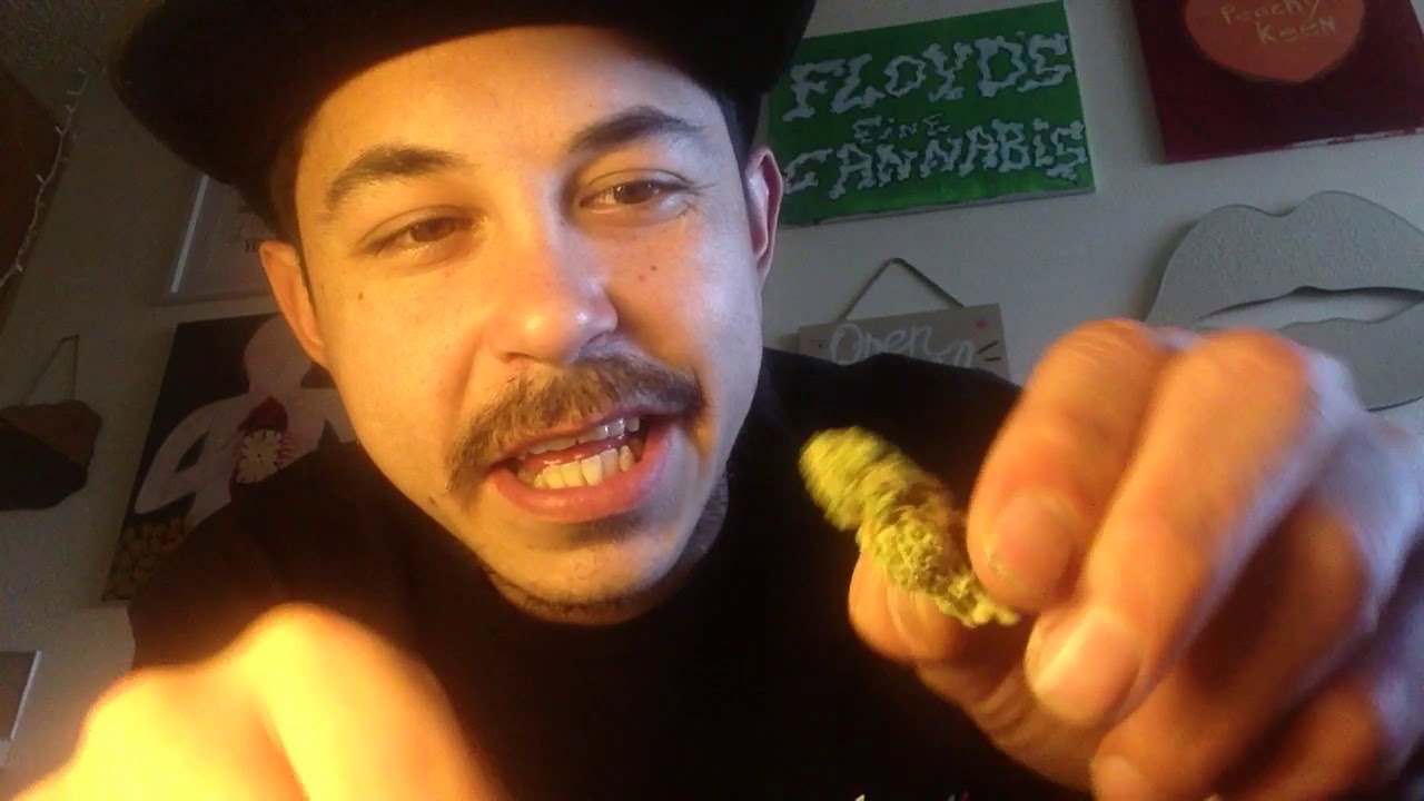 Papaya Purple Punch Weed Review