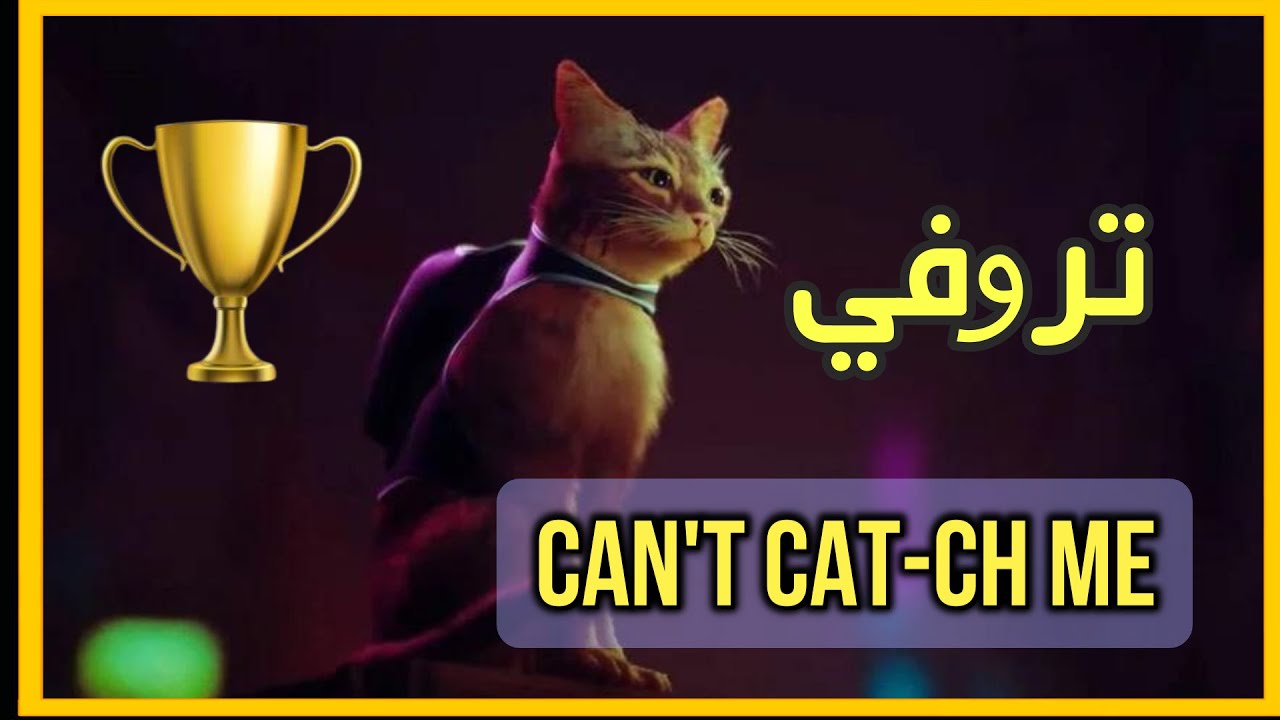 Stray كيف تعدي بدون ماتمسك