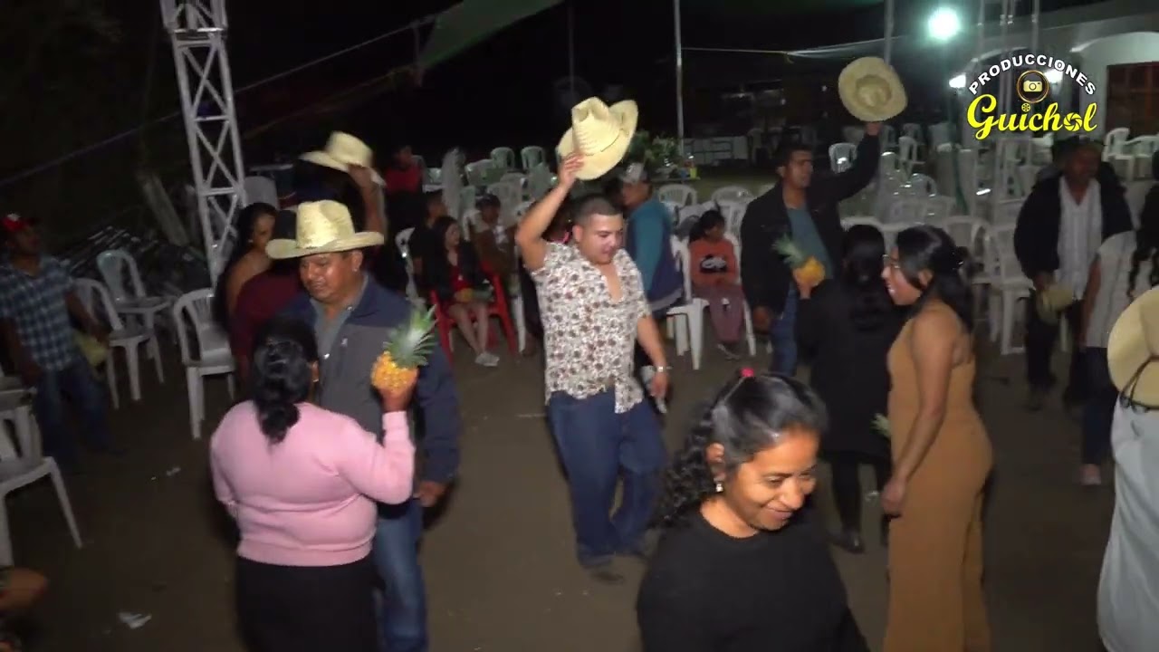 FLOR DE PIÑA TRONADOR EN SANTA CATARINA CUIXTLA OAXACA  2023