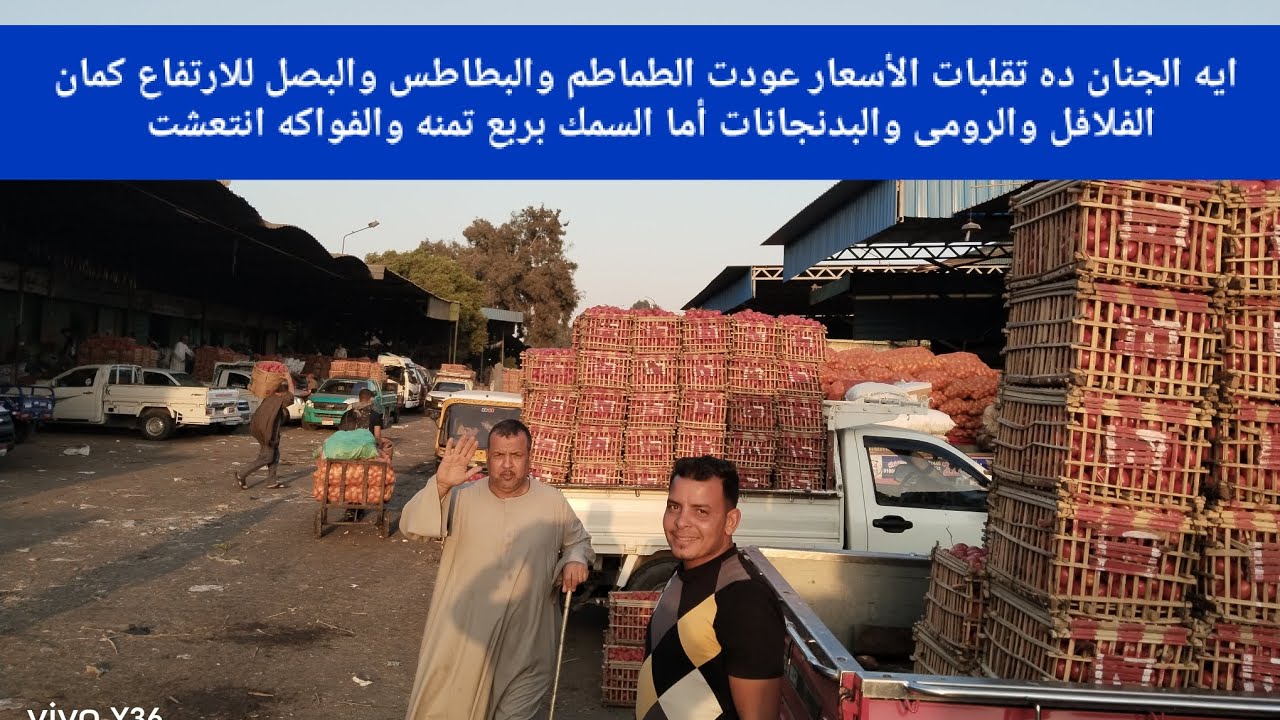 ايه الجنان ده تقلبات الأسعار عودت الطماطم والبطاطس والبصل للارتفاع كمان الفلافل والرومى والبدنجانات 