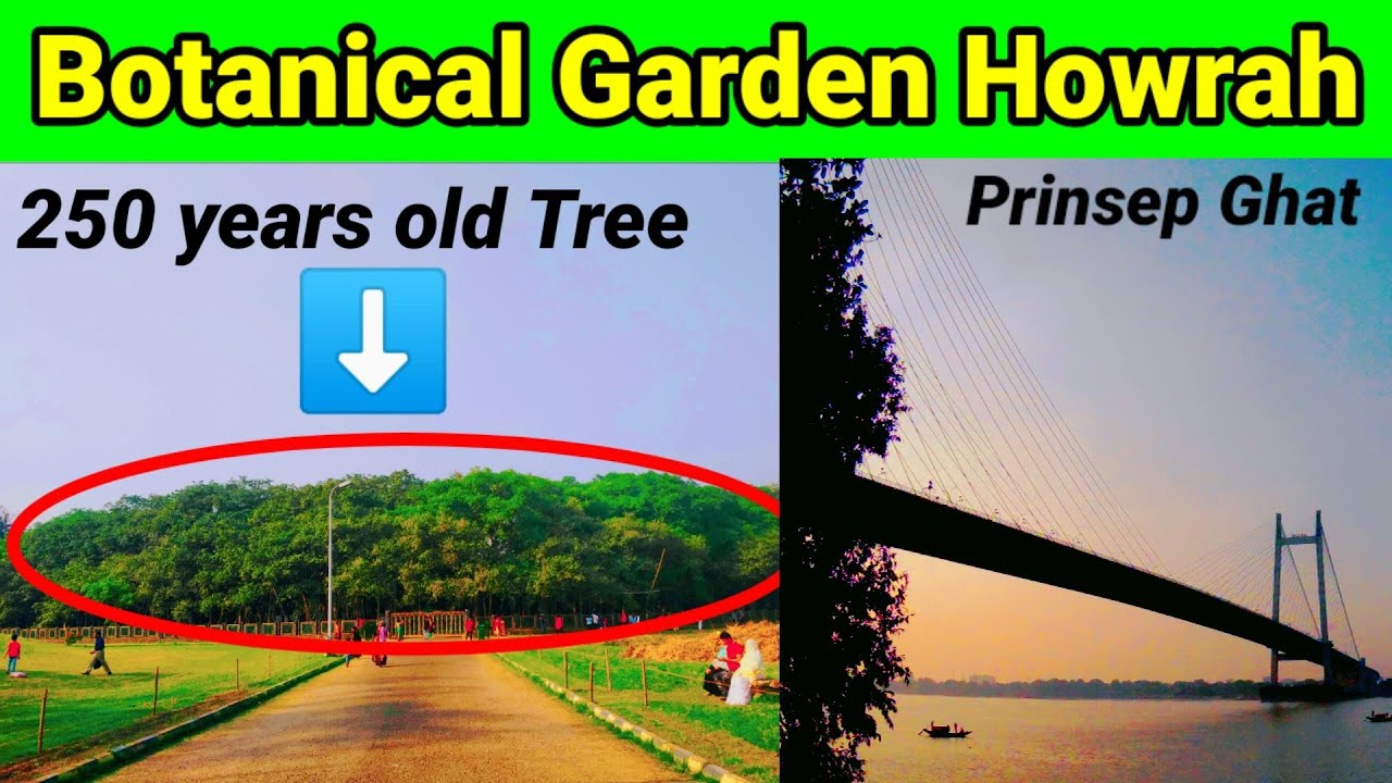 Botanical Garden and Prinsep Ghat Tour