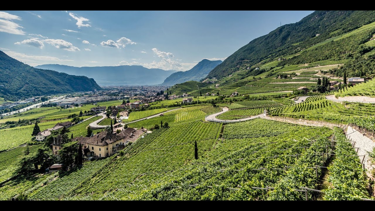 Il passato ed il futuro dell’Alto Adige, territorio del vino “condannato all’eccellenza”