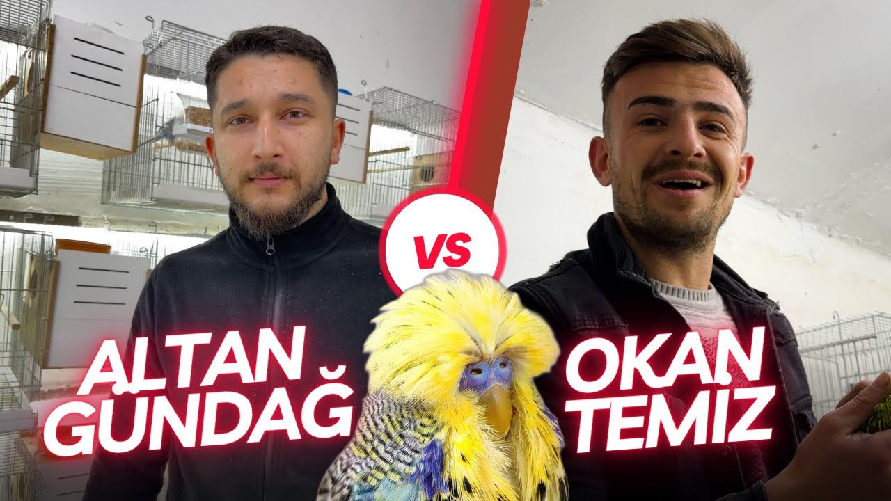 Altan Ve Okan ' a Mezat Yaptık ! Üst Vasıf Show Jumbo Kime Çıktı ?#muhabbetkuşu