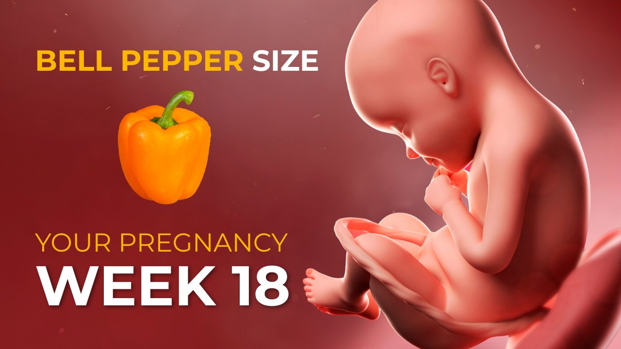 Week 18 Pregnancy Update: Baby Can Hear You Now 👶🎧 | Brain & Growth Milestones
