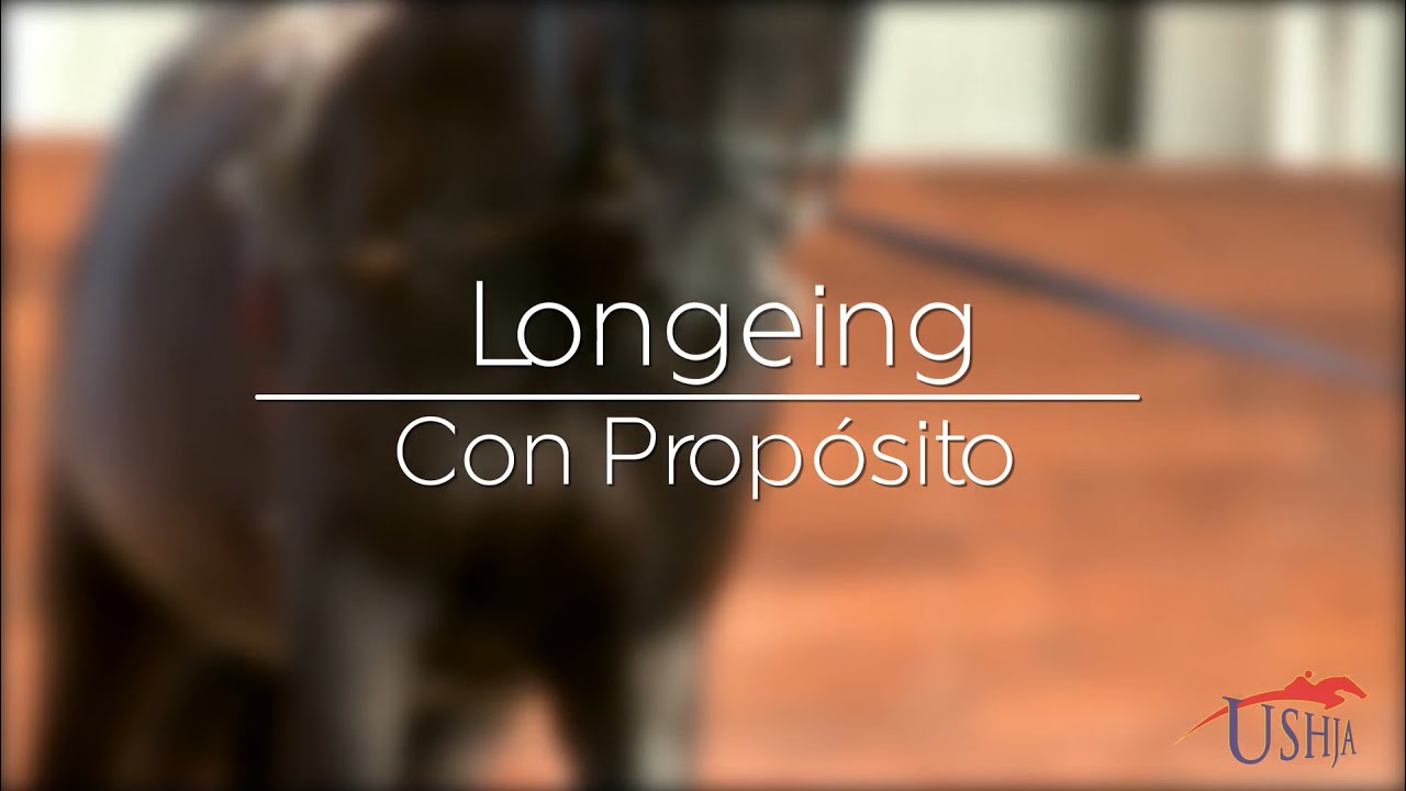 Longeing with a Purpose - Spanish | USHJA