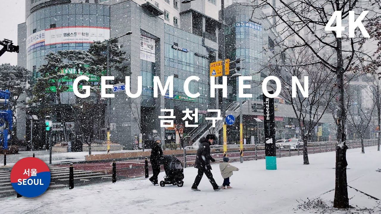 Seoul Snowy Day Walk from Geumcheon to Doksan Station / 4K Korea (Jan 2024) 금천구청에서 독산역까지 산책