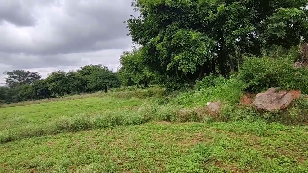Land for sale in koratagere taluk 