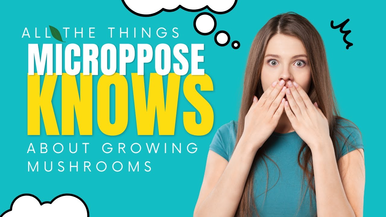 YOU DOWN WITH FAE ??? GROWING MUSHROOMS with Microppose Filters 🍄 ✨ The MycoGeeky Podcast