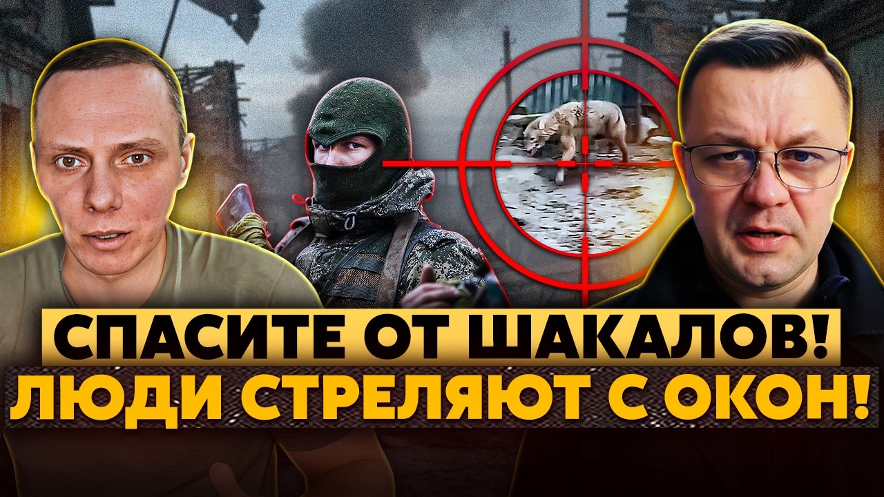 Мрак! В селах от Марика до Бердянска СТАИ ВОЛКОВ! Женщину УБИЛА БЕШЕНАЯ ЛИСА! Местные ПИШУТ Пушилину