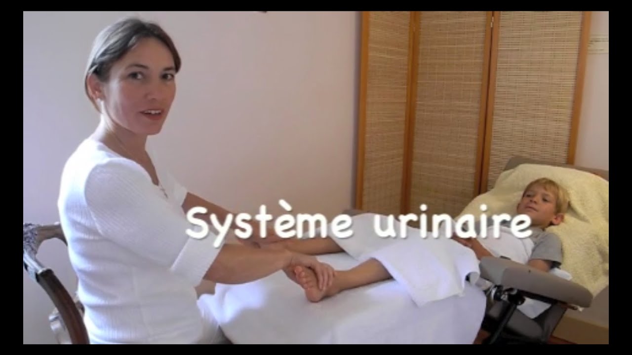 Système urinaire en réflexologie plantaire