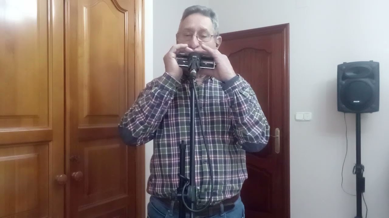SOLO HAY UNA PARA MI . Con Armonica.