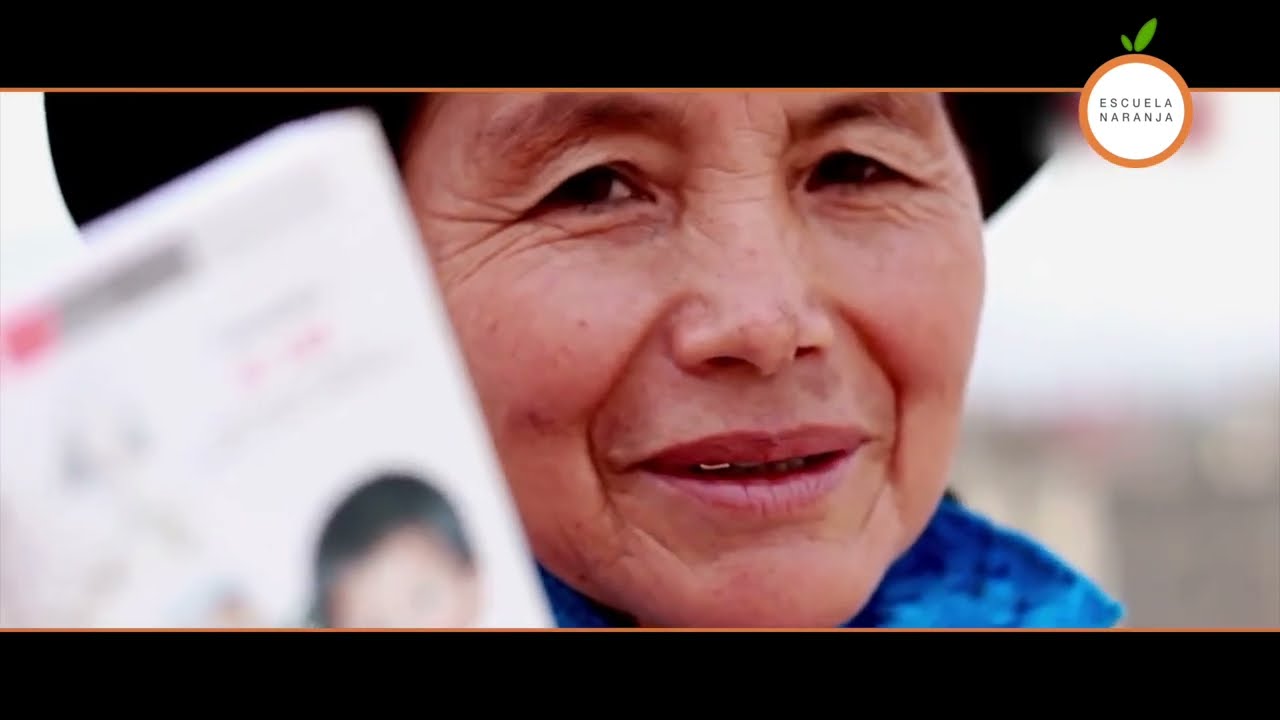 Funciones de la Defensoría del Pueblo y el Tribunal Constitucional - Perú