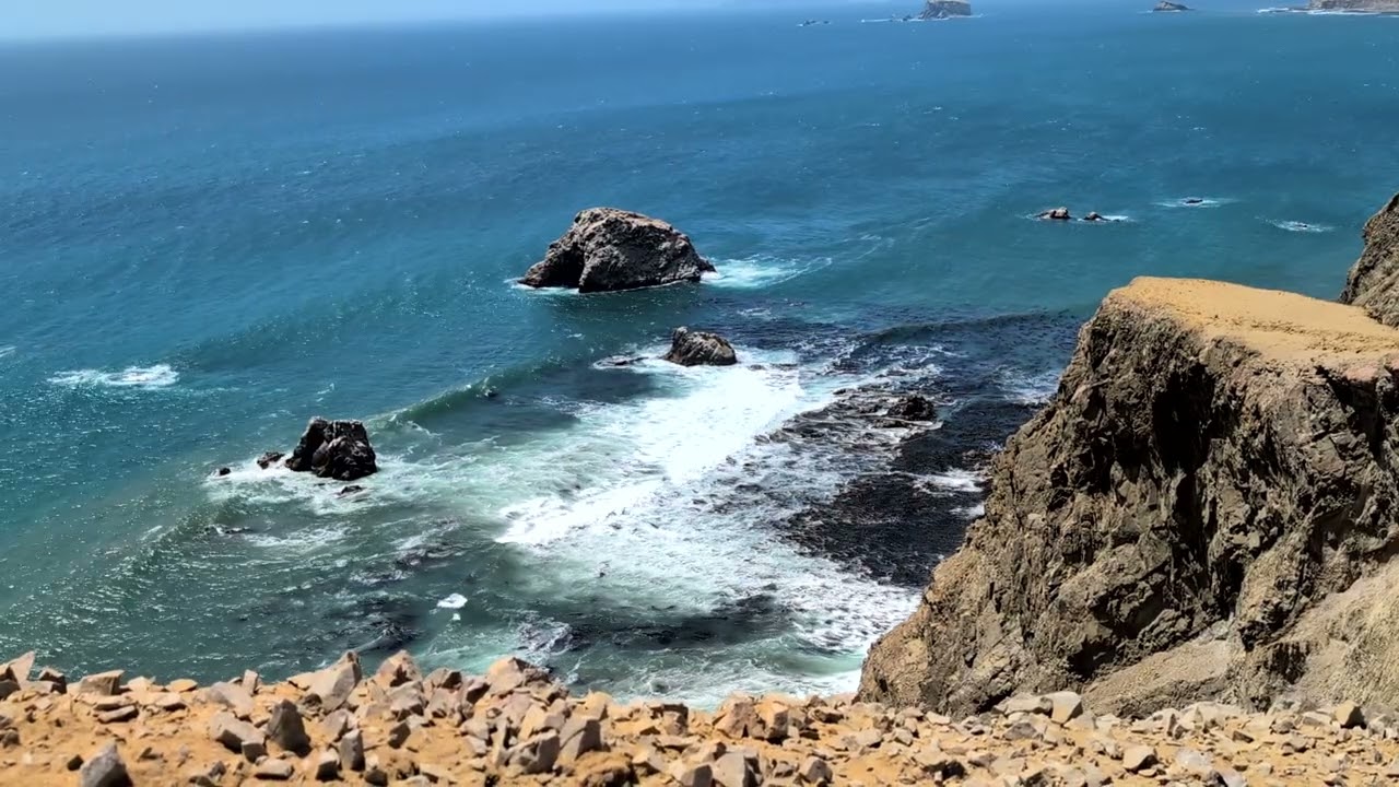 A Trip To Paracas