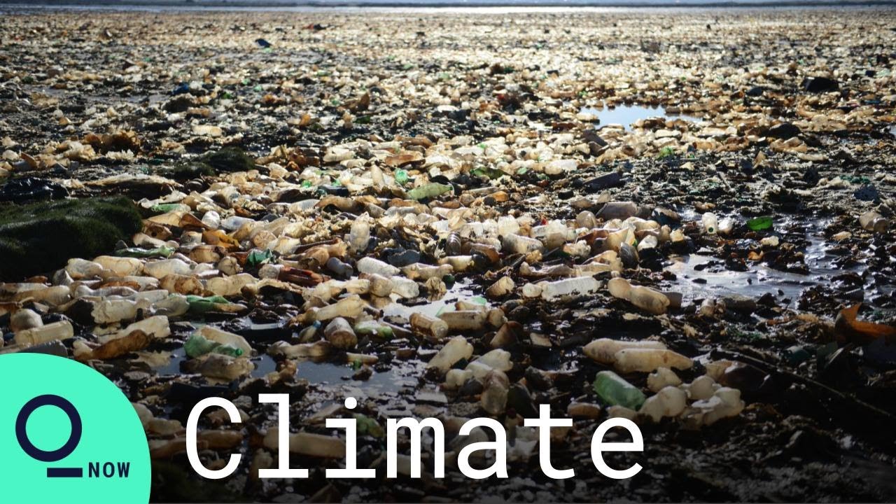 Cleaning Up Bolivia's 'Lake of Plastic'