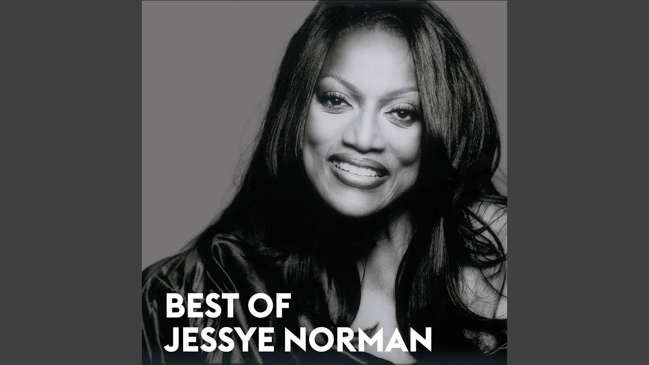 Wagner: Wesendonck Lieder, WWV 91 (Orch. Mottl): IV. Schmerzen