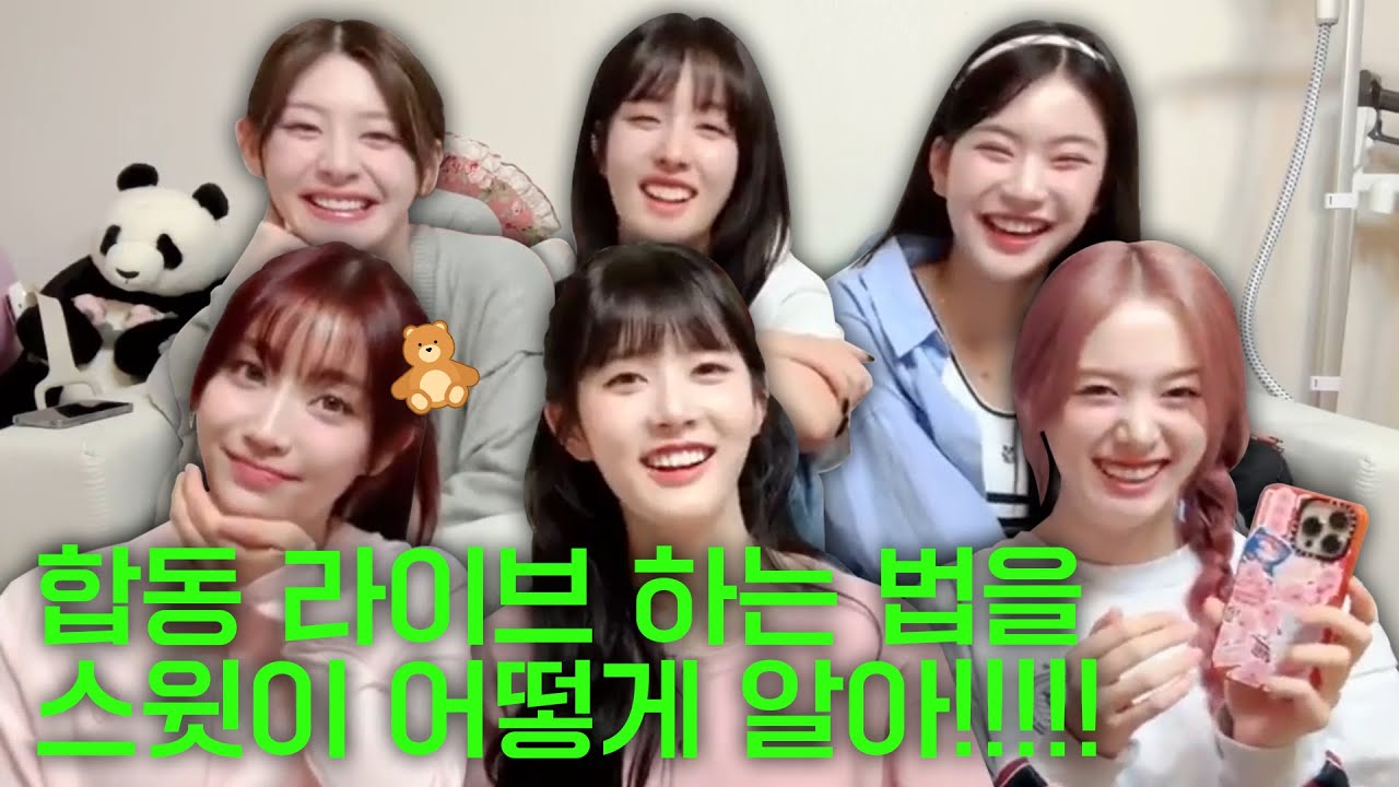 단체 라이브는 핑계고 ㅣ EP.0