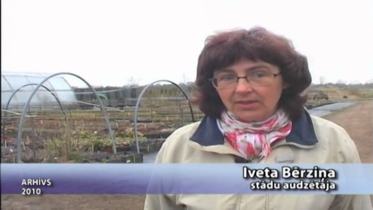 Z/S Bērziņi saimniecība