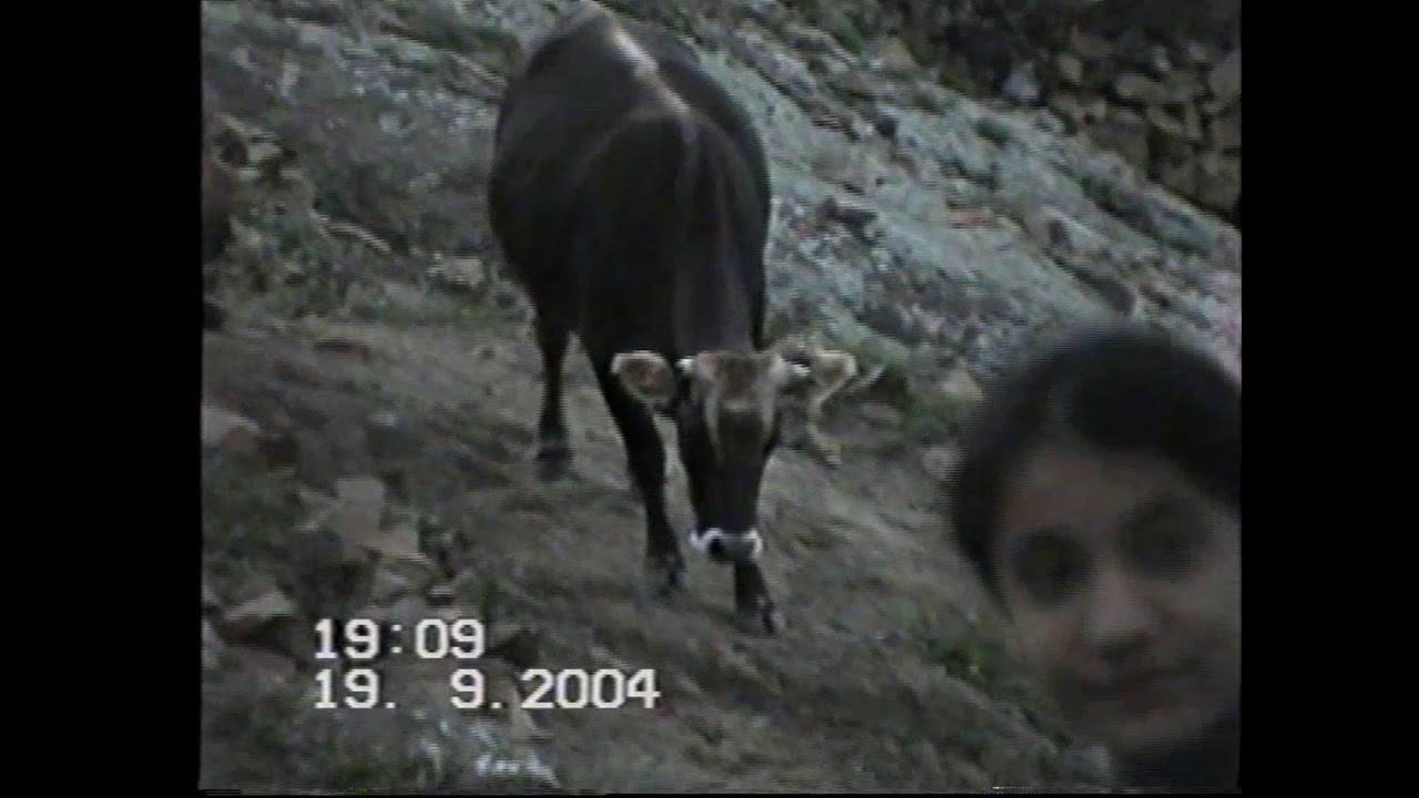 RAMAL TOPCUYEV 2004