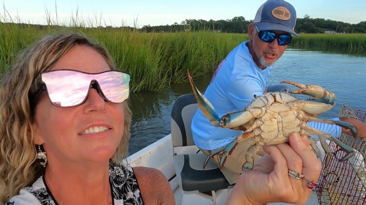 How Many Crabs Will We Catch Using This Bait