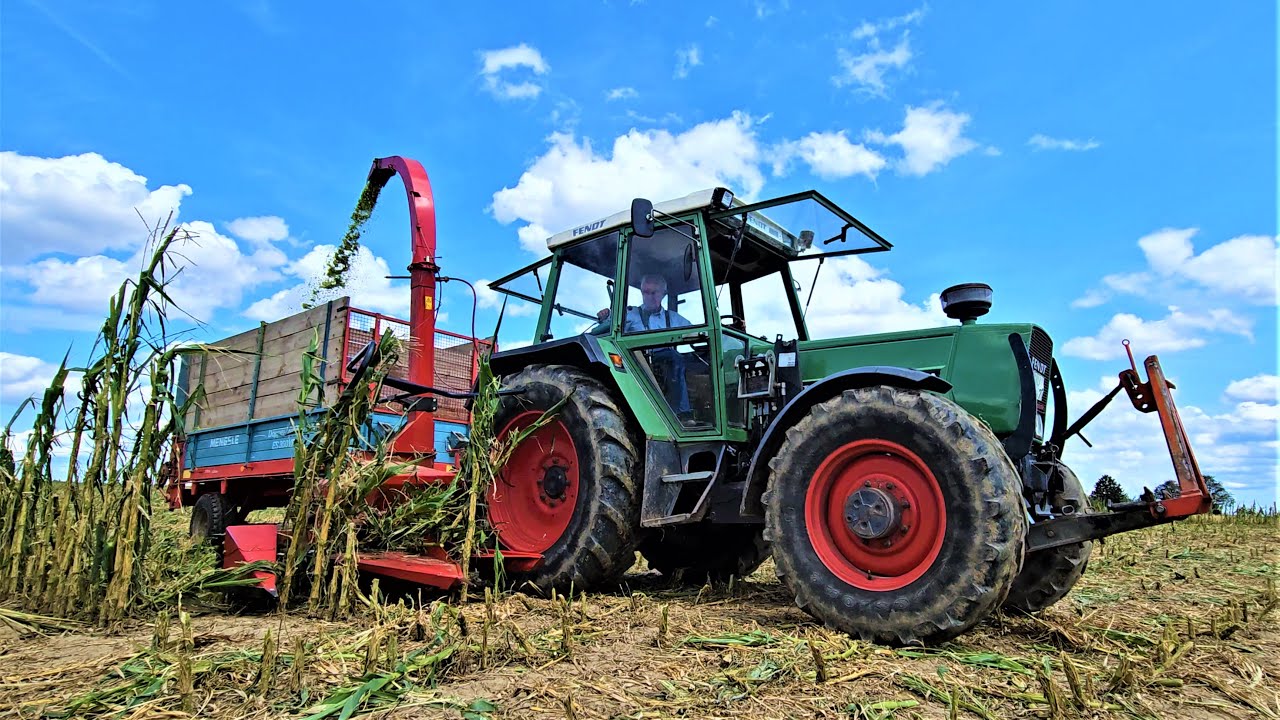 Extrem Hagelschaden! Fendt Farmer 309 LSA Turbo + VICON 2 -Reiher Maish&auml;cksler MH 905 + Mengele ES