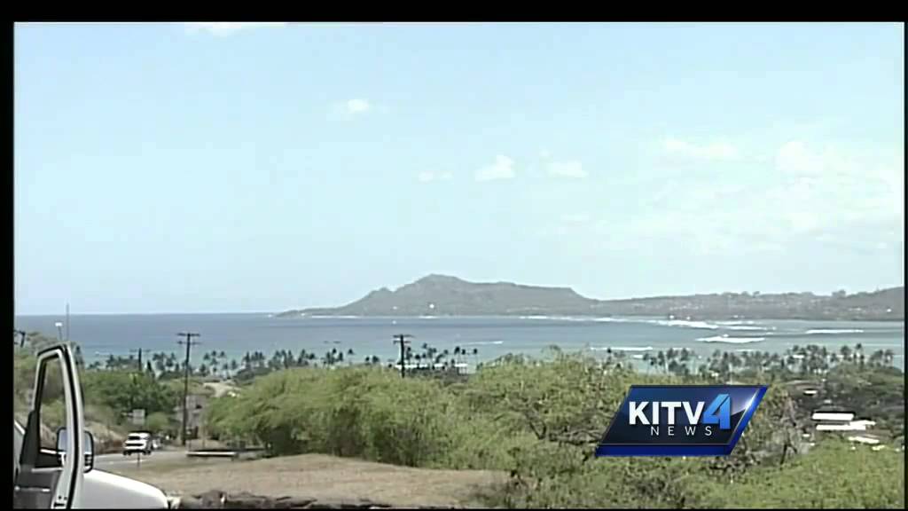 Unsual sighting in East Honolulu catches many eyes
